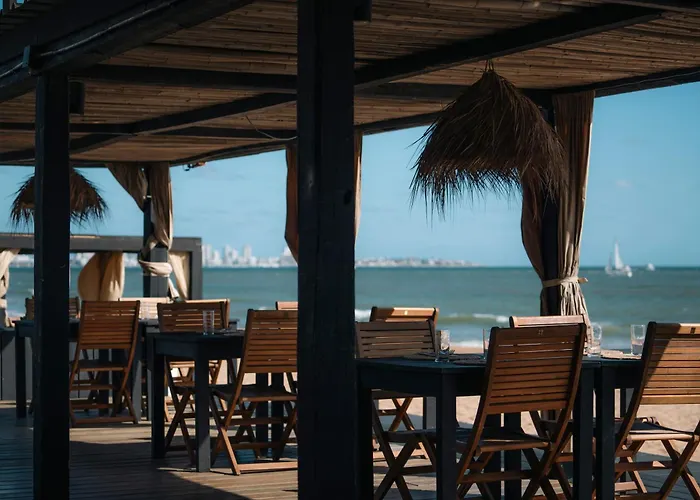 Serena Hotel - Exclusivo Adultos